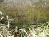 image of grave number 950723
